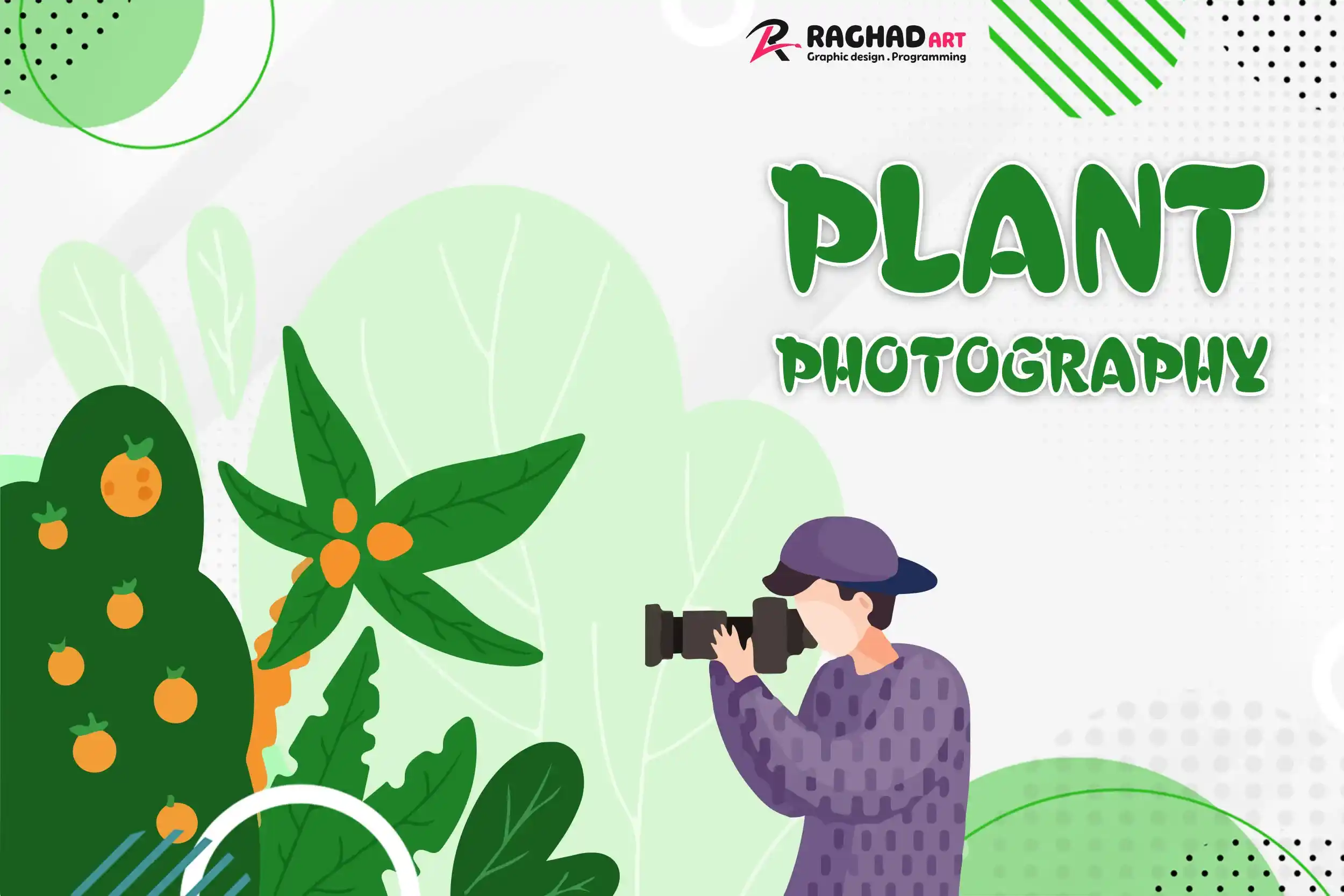 تصوير نباتات